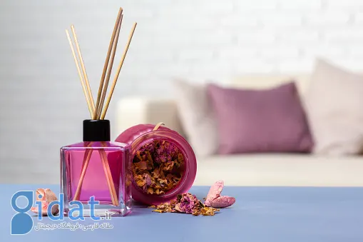 برای خوشبو نگه داشتن خانه‌تان، این 10 عادت بدبو را کنار بگذارید!