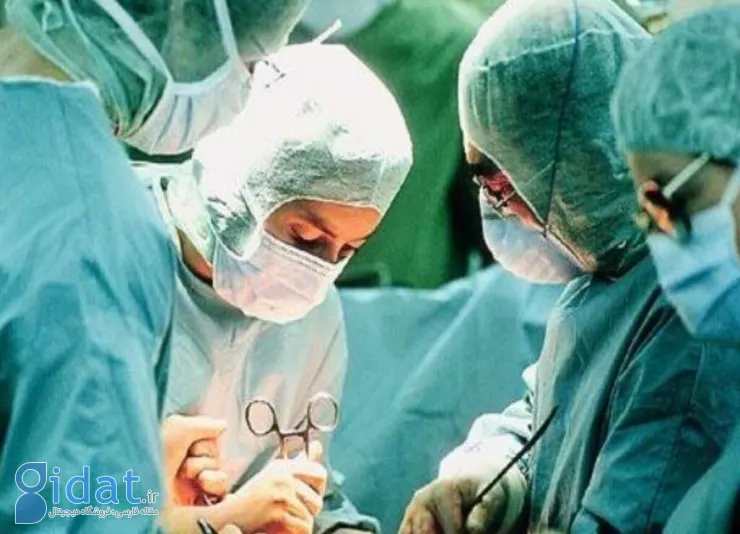 انجام یک عمل جراحی نادر و خبرساز در شیراز