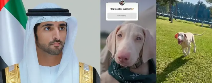ابتکار جالب ولیعهد دبی برای نامگذاری سگ خانگی اش