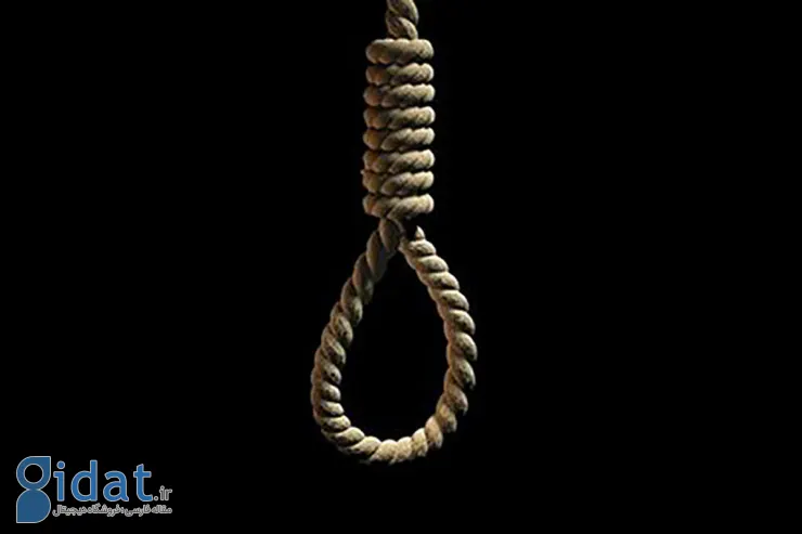 قاتل دکتر داوودی قصاص شد