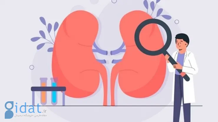 5 راه ساده برای پیشگیری از سرطان کلیه