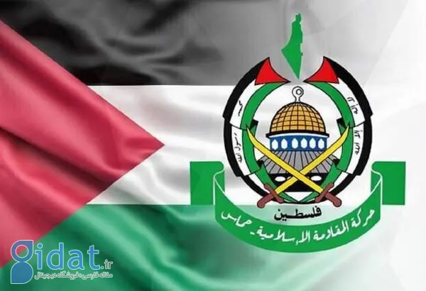 حماس: ما به پیشنهاد ویتکاف پاسخ دادیم
