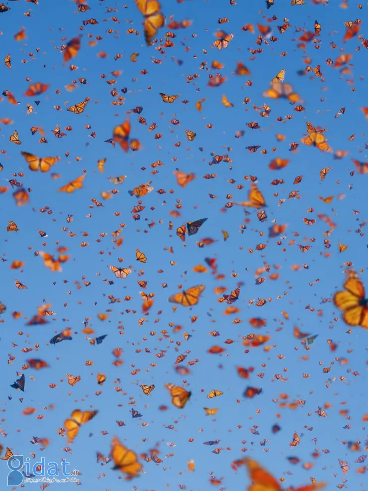 567050166_18552172003044850_3945325122632981043_n