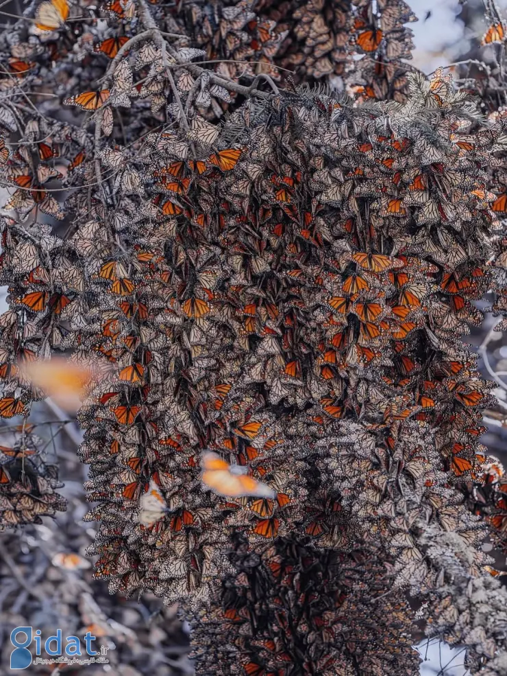 569077615_18552172048044850_4054295926920351100_n