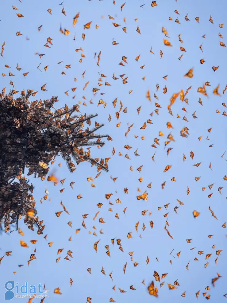 569409031_18552172102044850_803599554884841550_n