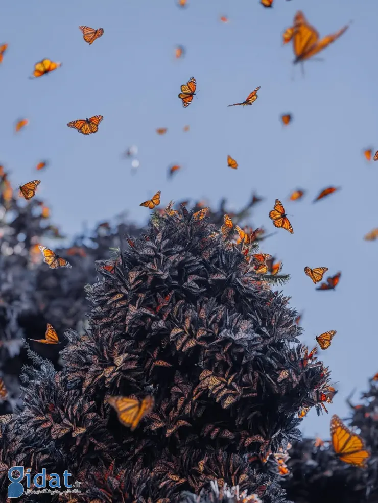 570860540_18552172057044850_1846562042860739465_n