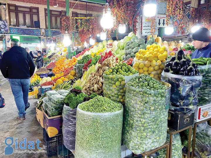 دستگیری یک سارق در میدان تره بار تهران