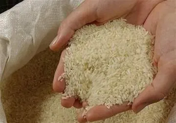 علت گرانی برنج مشخص شد