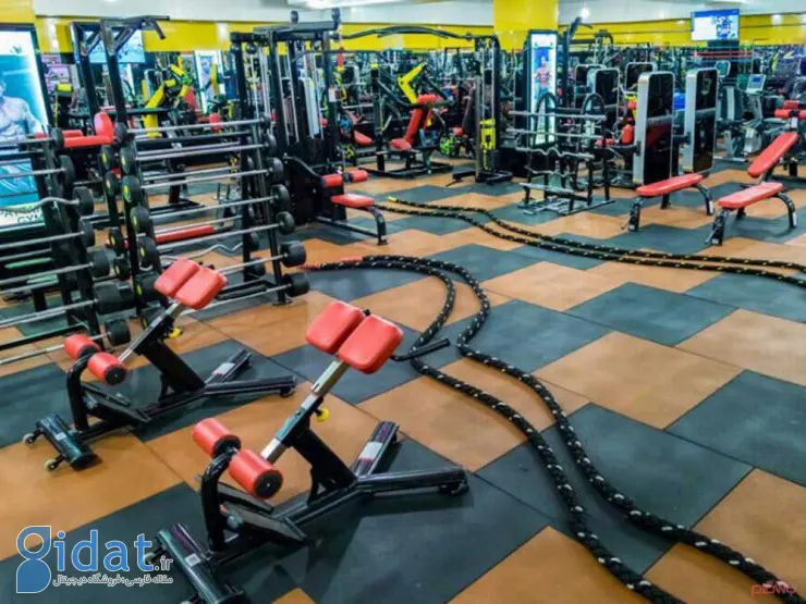 باشگاه ورزشی امیران