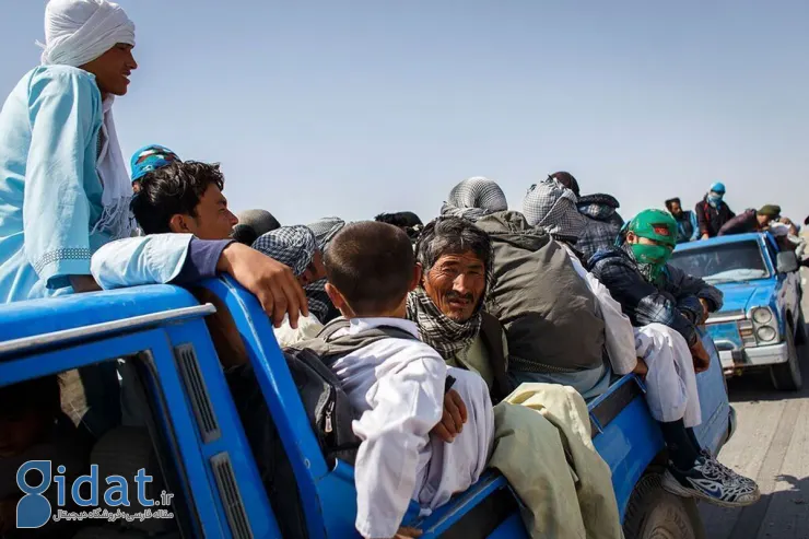 به کارگیری اتباع غیرمجاز در این استان ممنوع شد