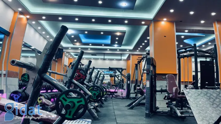 باشگاه ورزشی الهام حیدری