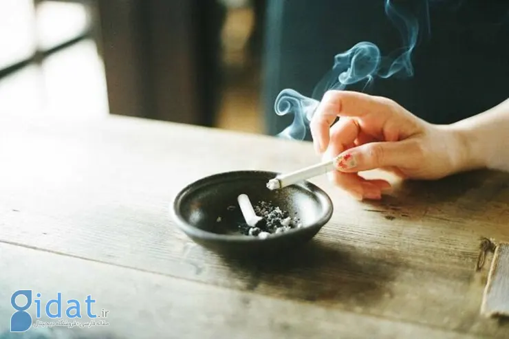 اعلام آمار وحشتناک مرگ و میر ناشی از استعمال دخانیات