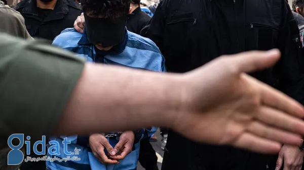 دستگیری ۲۶۵ سارق در تهران ظرف ۷۲ ساعت