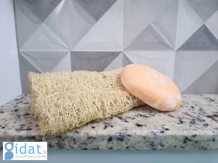 loofah-1024x768.jpg_11zon