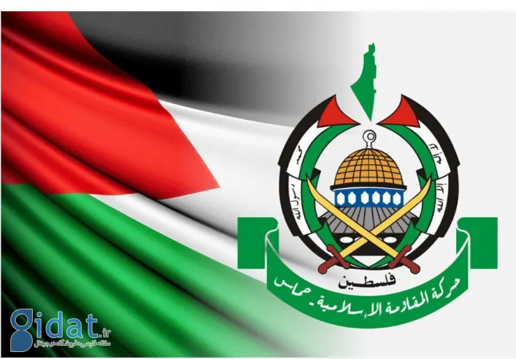 حماس: ما با طرح ویتکاف موافقت کرده ایم