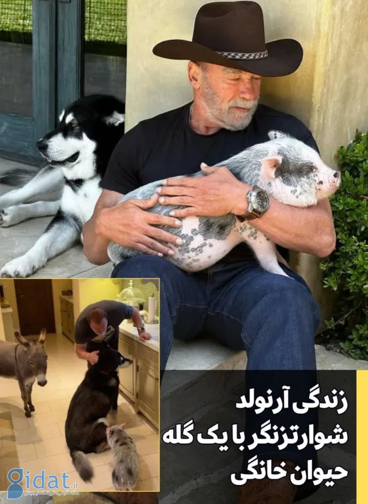 زندگی عجیب یک بازیگر مشهور با گله ای از حیوانات خانگی!