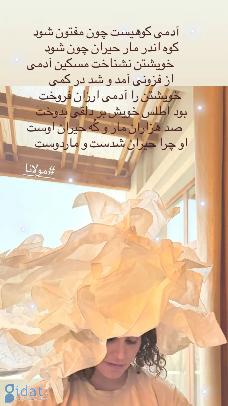 photo_2025-12-16_18-49-56