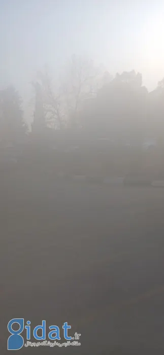 photo_2025-12-26_18-48-01