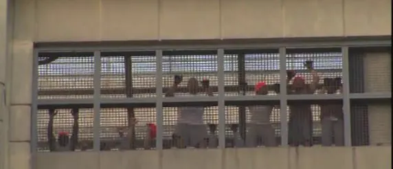 photo_2026-01-04_02-20-28