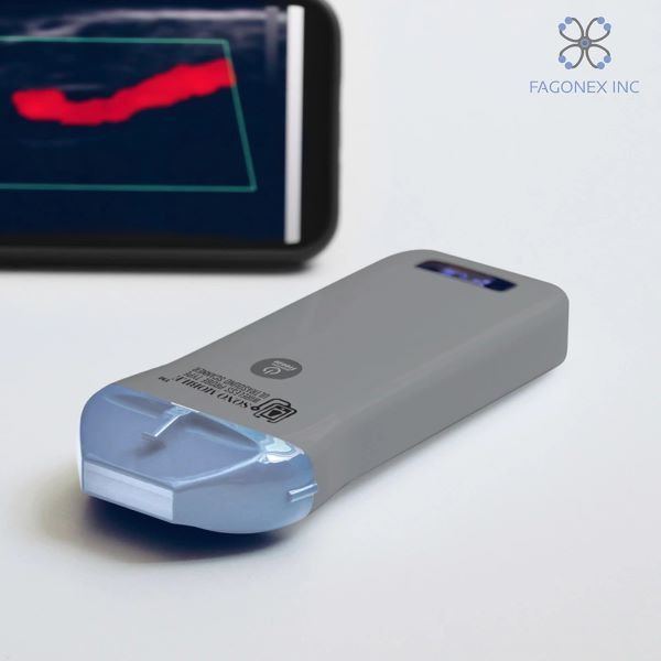 The Best Time for Abdominal and Pelvic Ultrasound