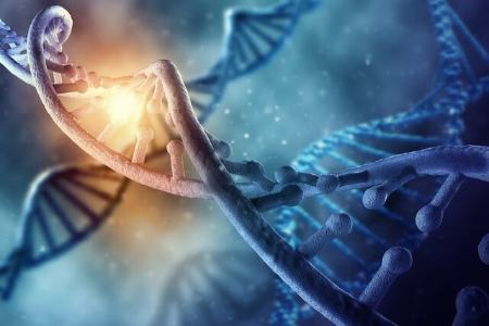 ابداع کوچک ترین آنتن جهان با استفاده از DNA!