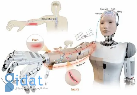 ربات،اخبار علمی،خبرهای علمی