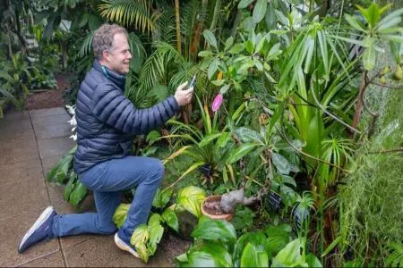 گفتگو با گیاهان امکان‌پذیر شد