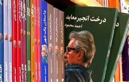 احمد محمود,نویسنده ایرانی