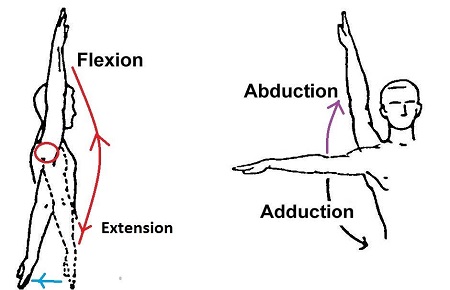 عکس شکستگی ترقوه, چرخش داخلی با میله internal rotation, شکستگی ترقوه