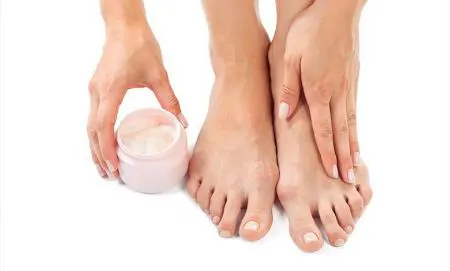 کالبدشکافی کرم‌ها؛ ترکیبات موثر کدامند؟