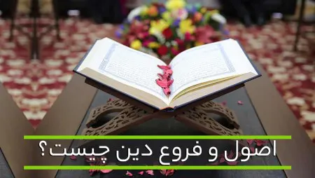 فروع دین چیست