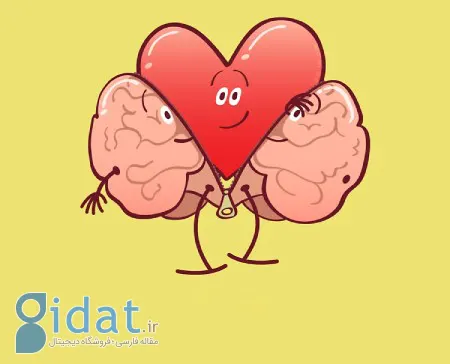 کاریکاتور مغز و قلب, کاریکاتور قلب و مغز, مغز و قلب,کاریکاتور های بسیار زیبا از قلب و مغز