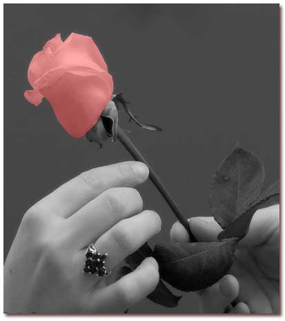 15 پیشنهاد برای هدیه روز مادر