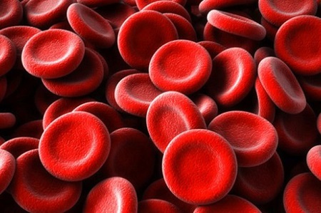 چه چیزی باعث افزایش تعداد گلبول های قرمز خون می شود؟