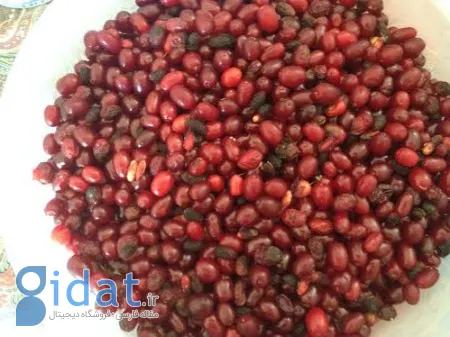 استفاده از زغال‌اخته در آشپزی, طریقه نگهداری زغال‌اخته