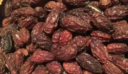 استفاده از زغال‌اخته در آشپزی, طریقه نگهداری زغال‌اخته