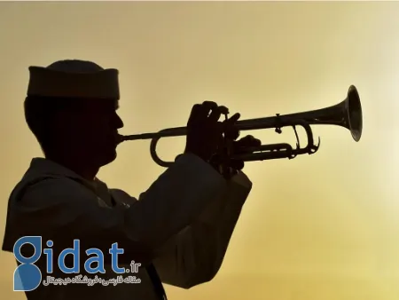 موسیقی نظامی, رشته موسیقی نظامی