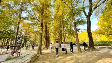 جاذبه‌های جزیره نامی, فعالیت‌های خانوادگی در جزیره نامی