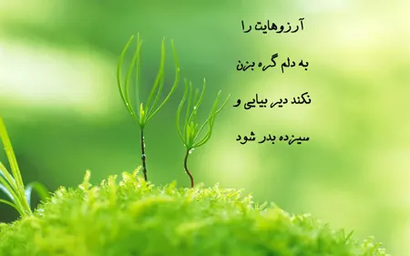 عکس پروفایل سیزده بدر, عکس نوشته های تبریک سیزده بدر برای پروفایل