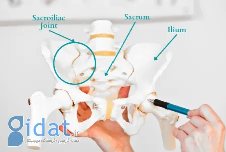 درد مفصل ساکروایلیاک (SI)؛ دردی که نشستن را سخت می کند