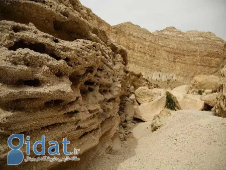 تنگه شوتاریکو, شوتاریکو هرمزگان