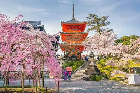 نکاتی که باید قبل از سفر به توکیو بدانید