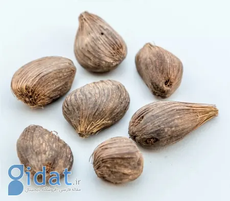 خواص روغن گیاهی