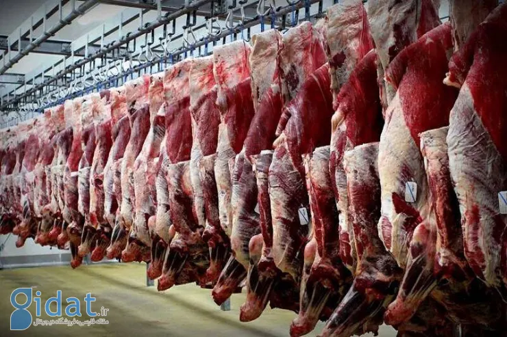 حقیقت در مورد خودکفایی در تولید گوشت قرمز آشکار شد