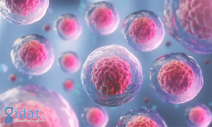 کاربرد سلول های بنیادی در درمان زخم و اسکار (پزشکی ترمیمی)