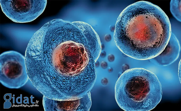 درمان جای زخم با سلول بنیادی