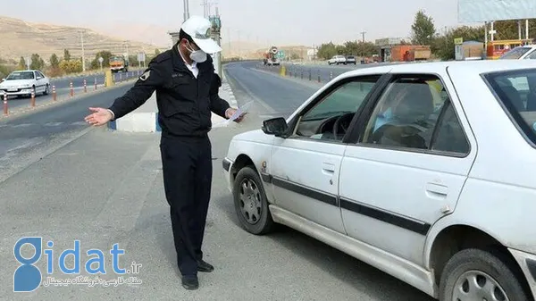 مجوز 503 متخلف ضبط شد