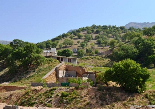 جنگل خواری در قلب شهرستان بویراحمد