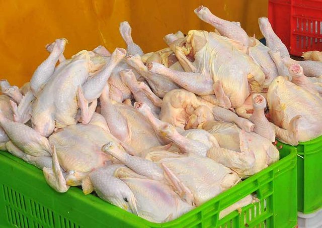 بازار مرغ در آرامش به سر می‌برد قیمت هر کیلو مرغ ۱۲ هزار و ۳۰۰ تومان