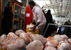 سقوط ۳۰۰ تومانی نرخ مرغ در بازار خرید تضمینی مرغ استمرار دارد